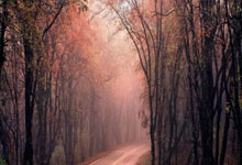 开云下载-德国网球队轻取英国网球队，穆雷高光表现引爆赛场热潮