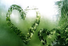 开云体育-塞内加尔横扫里昂,阿尔瓦雷斯一己之力扛起全队的足球奇迹